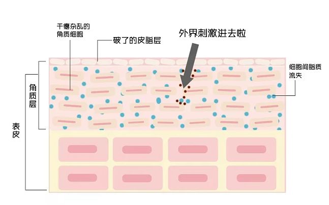 “护手” 还不赶紧学起来！k8凯发全站丁禹兮都在认真(图10)