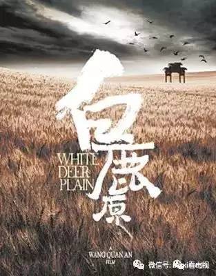 综艺、13部电视剧一线全盘点凯发k8国际娱乐首选11档(图14)