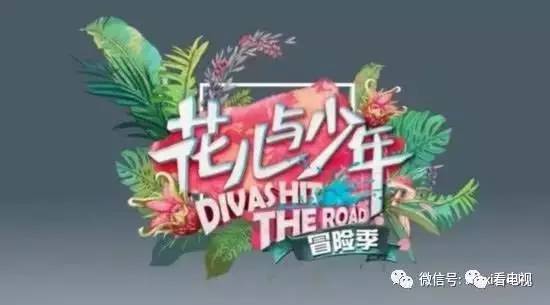 综艺、13部电视剧一线全盘点凯发k8国际娱乐首选11档(图17)