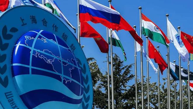 通过印度得到真正的实惠莫迪发文感谢中国凯发k8国际首页登录全员赞成天津宣言(图6)