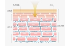 “护手” 还不赶紧学起来！k8凯发全站丁